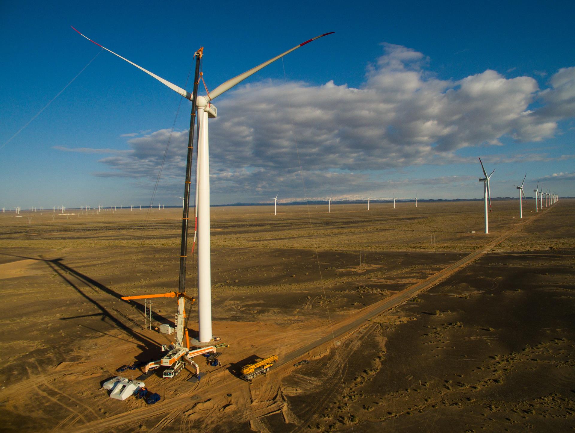 Z6人生就是博沉科