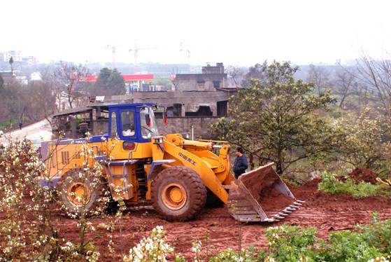 点击新窗口翻开大图